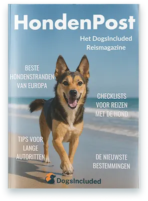 magazine