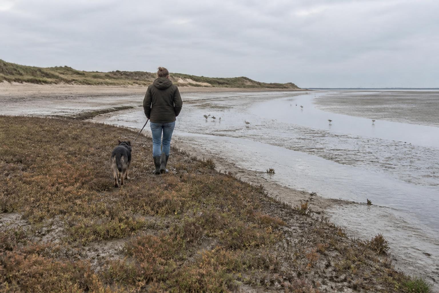 Aangelijnde hond met baas op het wilde getijdenstrand van natuurgebied De Kwade Hoek bij Ouddorp